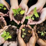 IntegralWorld-Perspective-Publication-Report-Lending-a-Hand-to-Sustainability-featured-image