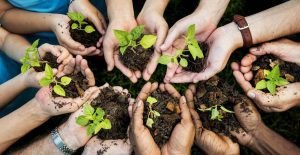 IntegralWorld-Perspective-Publication-Report-Lending-a-Hand-to-Sustainability-featured-image