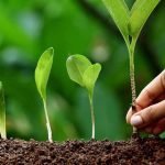 IntegralWorld-Perspective-Publication-Report-Measuring-post-2015-development-performance-featured-image