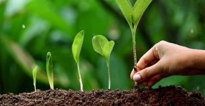 IntegralWorld-Perspective-Publication-Report-Measuring-post-2015-development-performance-featured-image