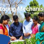 a group of social workers as Monitoring Mechanisms